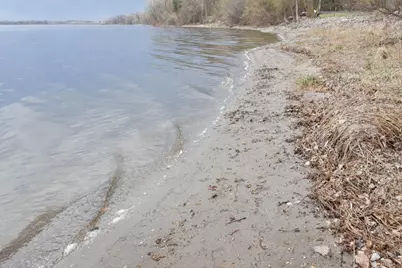 27322 734th Avenue, Dassel, MN 55325 - Photo 78