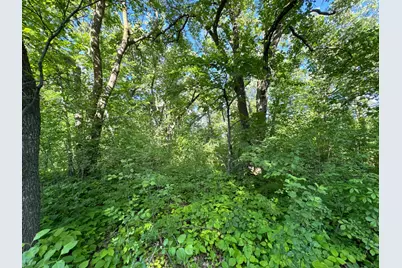 Xxxxx German Lake Road, Underwood, MN 56586 - Photo 6