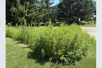 8047 Somerset Road, Woodbury, MN 55125 - Photo 56