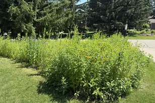 8047 Somerset Rd, Woodbury, MN 55125 - Photo 56