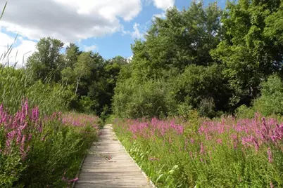 8047 Somerset Road, Woodbury, MN 55125 - Photo 64