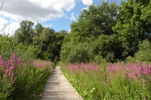 8047 Somerset Rd, Woodbury, MN 55125 - Photo 64