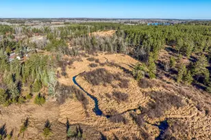 39494 County 4, Lake George Township, MN 56458 - Photo 34