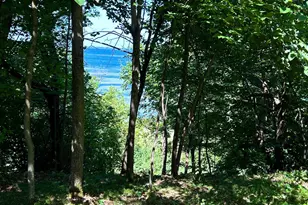 49137 360th St, New York Mills, MN 56567 - Photo 1