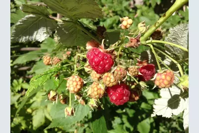 5833 Creek Valley Road, Edina, MN 55439 - Photo 62