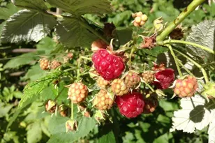 5833 Creek Valley Rd, Edina, MN 55439 - Photo 62