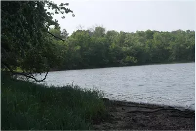 N4568 County Road N, Arkansaw, WI 54721 - Photo 12