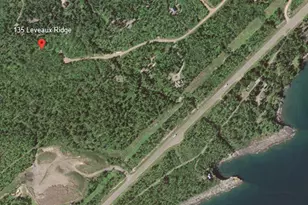 135 Leveaux Ridge, Tofte Township, MN 55615 - Photo 1