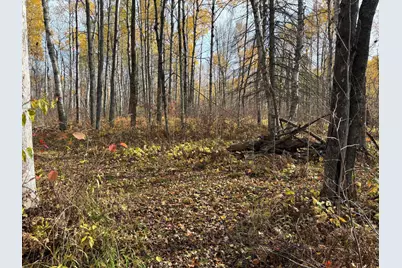 2757 Erickson Road, Kettle River, MN 55757 - Photo 16