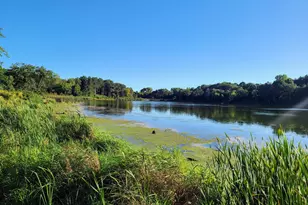 8815 Jorgensen Ave S, Cottage Grove, MN 55016 - Photo 50