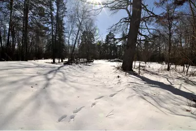 34084 County 39, Laporte, MN 56461 - Photo 28