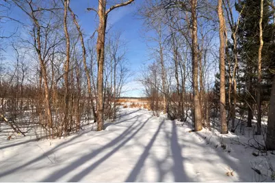 34084 County 39, Laporte, MN 56461 - Photo 20