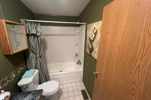 121 3rd St, Bluffton, MN 56518 - Photo 18