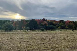 21333 Durant St NE, East Bethel, MN 55011 - Photo 1