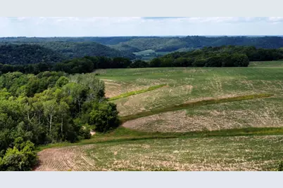 Tbd 728th Street, Lake City, MN 55041 - Photo 14