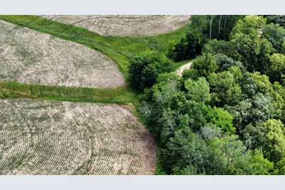 Tbd 728th Street, Lake City, MN 55041 - Photo 6