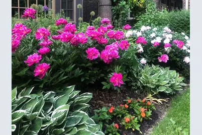 2205 Kenwood Parkway, Minneapolis, MN 55405 - Photo 38