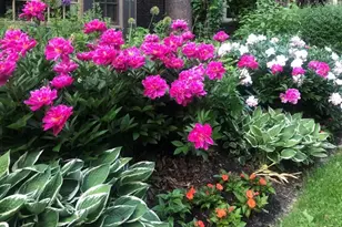 2205 Kenwood Pkwy, Minneapolis, MN 55405 - Photo 38