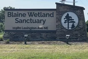 12584 Erskin St NE, Blaine, MN 55449 - Photo 28