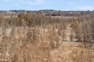 24732 US Frontage, Staples, MN 56479 - Photo 54