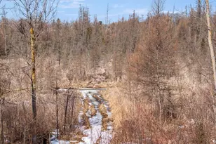 24732 US Frontage, Staples, MN 56479 - Photo 52