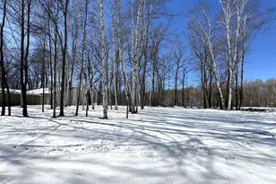 48894 386th Pl, Palisade, MN 56469 - Photo 12