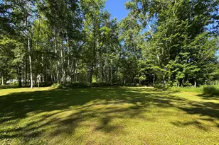 48894 386th Pl, Palisade, MN 56469 - Photo 36