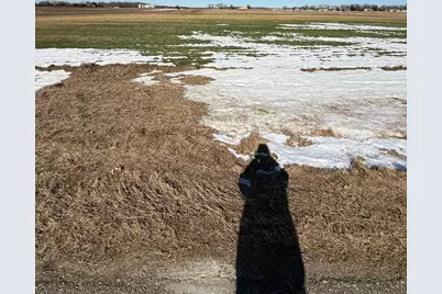 Tbd 444th Street., Sauk Centre Township, MN 56378 - Photo 1