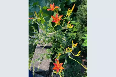 4048 Cinnabar Drive, Eagan, MN 55122 - Photo 58