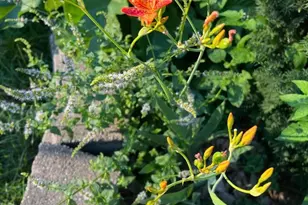 4048 Cinnabar Dr, Eagan, MN 55122 - Photo 58