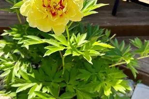 4048 Cinnabar Dr, Eagan, MN 55122 - Photo 50