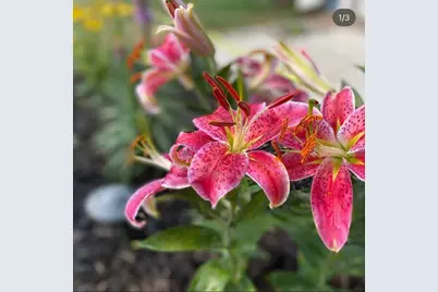 4048 Cinnabar Drive, Eagan, MN 55122 - Photo 56