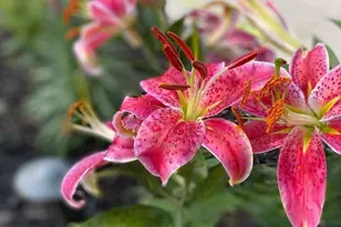 4048 Cinnabar Dr, Eagan, MN 55122 - Photo 56