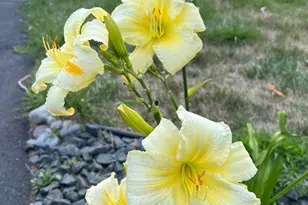 4048 Cinnabar Dr, Eagan, MN 55122 - Photo 52