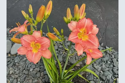 4048 Cinnabar Drive, Eagan, MN 55122 - Photo 54