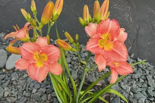 4048 Cinnabar Dr, Eagan, MN 55122 - Photo 54