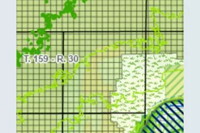 Tbd1 Hay Creek Road SW, Baudette, MN 56623 - Photo 4