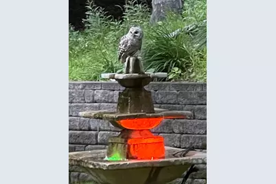 1000 Heritage Lane, Orono, MN 55391 - Photo 28