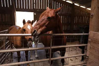 53253 W Grindstone Road, Sandstone, MN 55072 - Photo 20