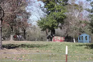 53253 W Grindstone Rd, Sandstone, MN 55072 - Photo 24