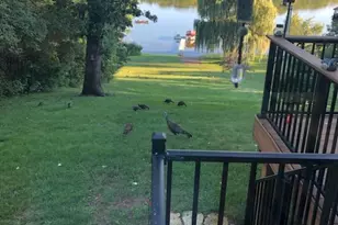 4391 Bridgewater Rd, South Haven, MN 55382 - Photo 12