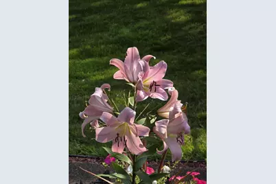 4391 Bridgewater Road, South Haven, MN 55382 - Photo 42