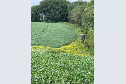 Tbd 728th Street, Lake City, MN 55041 - Photo 4