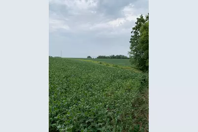 Tbd 728th Street, Lake City, MN 55041 - Photo 12