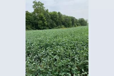 Tbd 728th Street, Lake City, MN 55041 - Photo 6