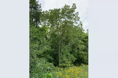 Tbd 728th Street, Lake City, MN 55041 - Photo 8