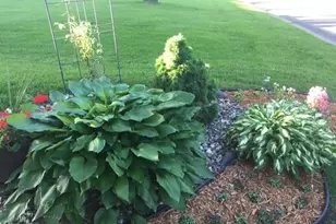 2007 Summit Dr, Saint Cloud, MN 56303 - Photo 70