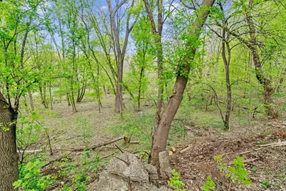 445 Bovey Road, Wayzata, MN 55391 - Photo 8