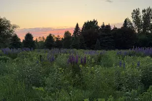 24111 Rice Lake Dr, Lakeville, MN 55044 - Photo 24