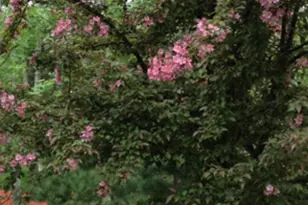 10883 Maya Cir, Pequot Lakes, MN 56472 - Photo 4